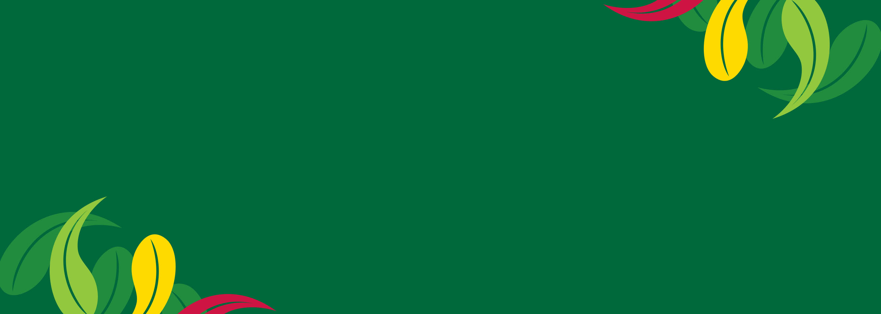 NAWMA Glass Fines Recovery Plant