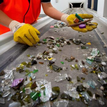 Contamination being removed from the glass recovery sort line